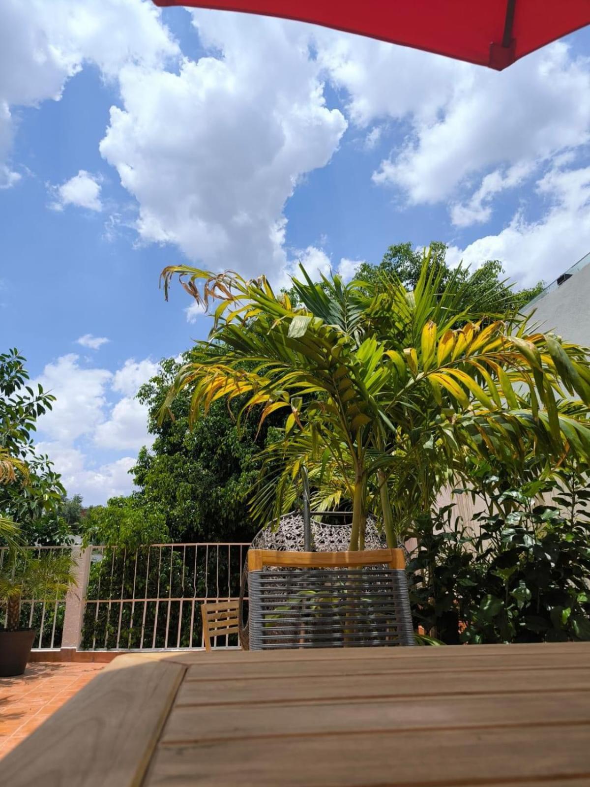 Casa Frida Condesa Bed & Breakfast Mexico City Exterior photo